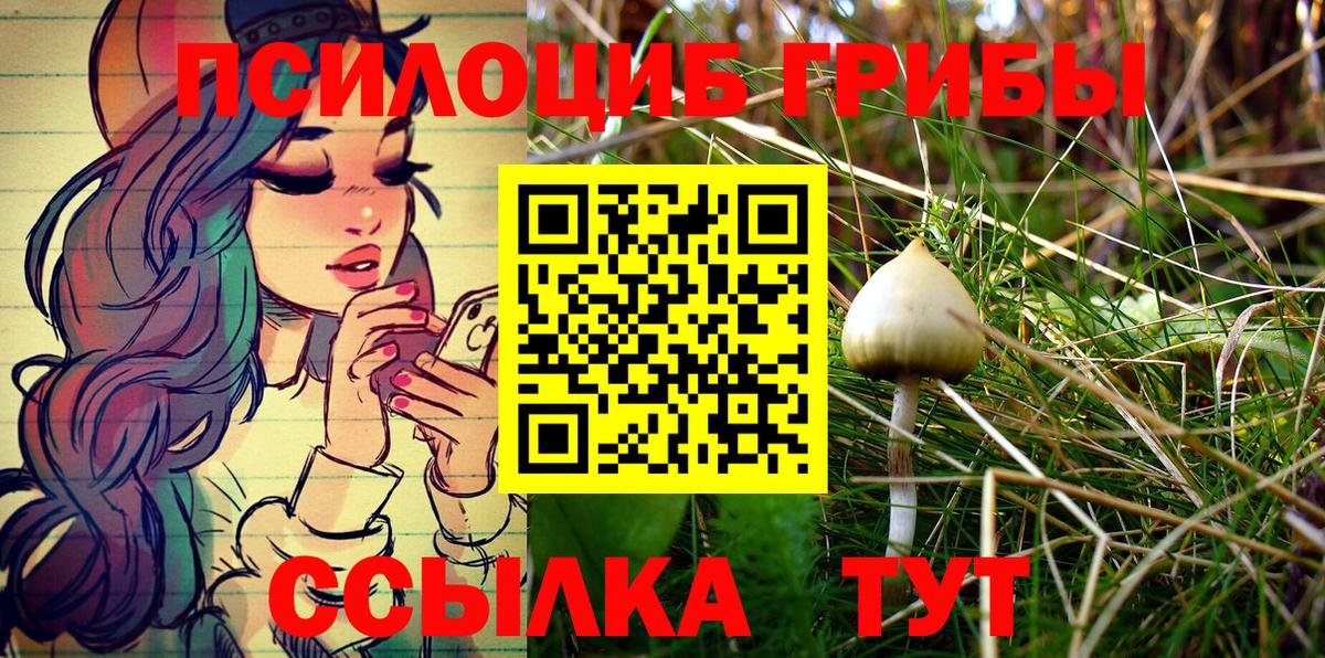 хочу наркоту  Вход с VPN  Алексеевка  Псилоцибиновые грибы Cubensis 